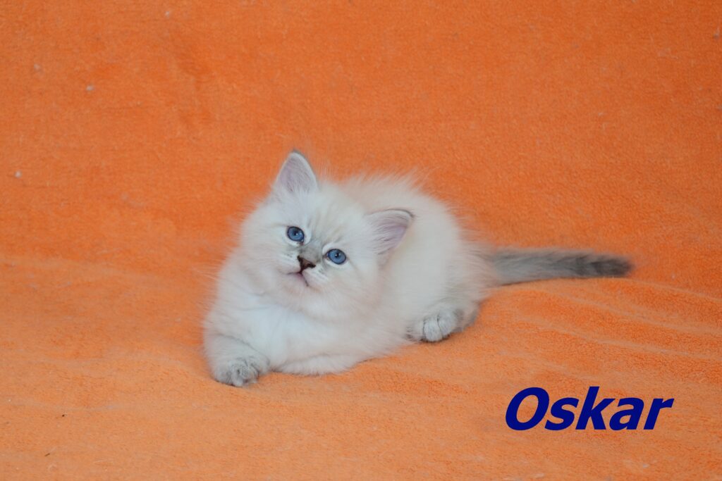 Oskar
