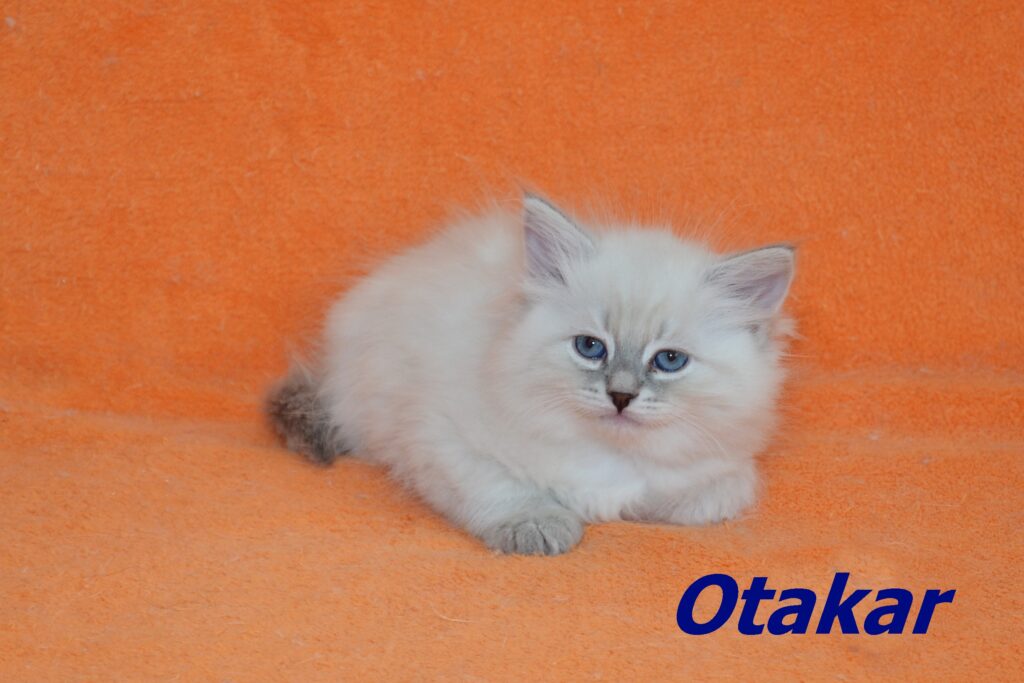 Otakar