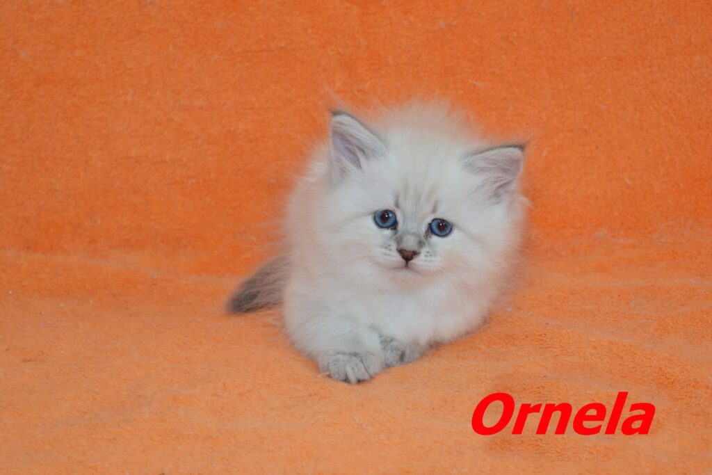 Ornela