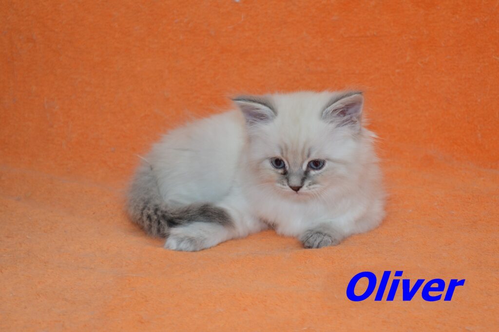 Oliver