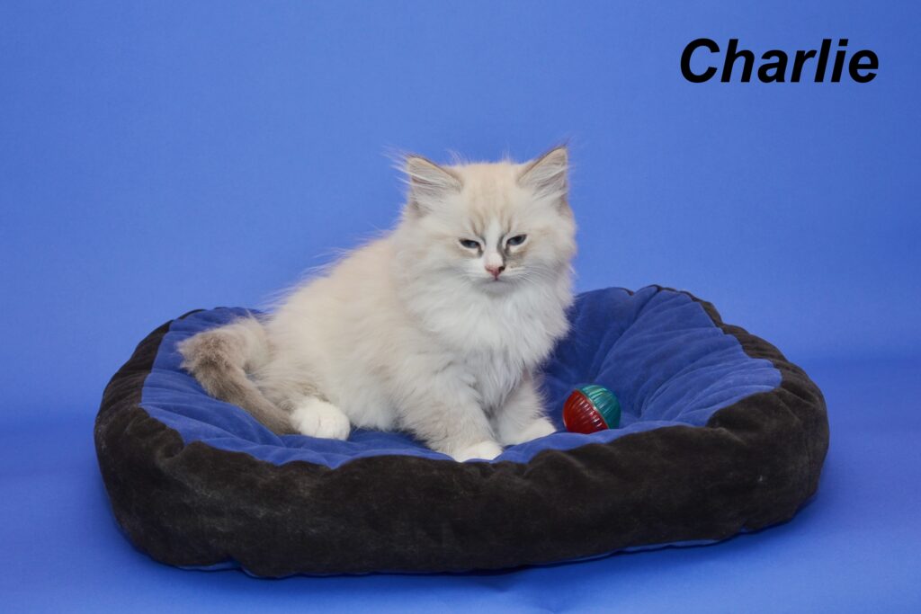 Charlie