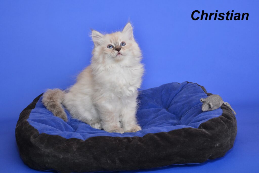 Christian